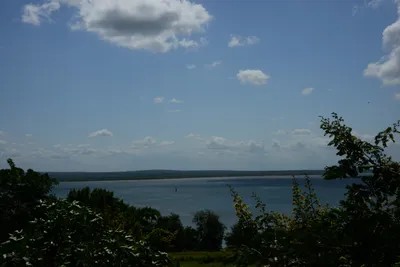 DSC_9091 (Large).JPG